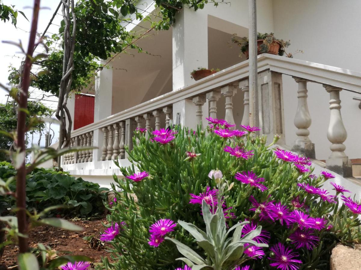 Apartmani Daniela Murter Exterior photo