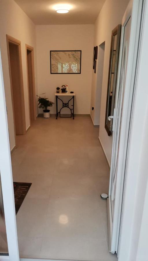 Apartmani Daniela Murter Exterior photo